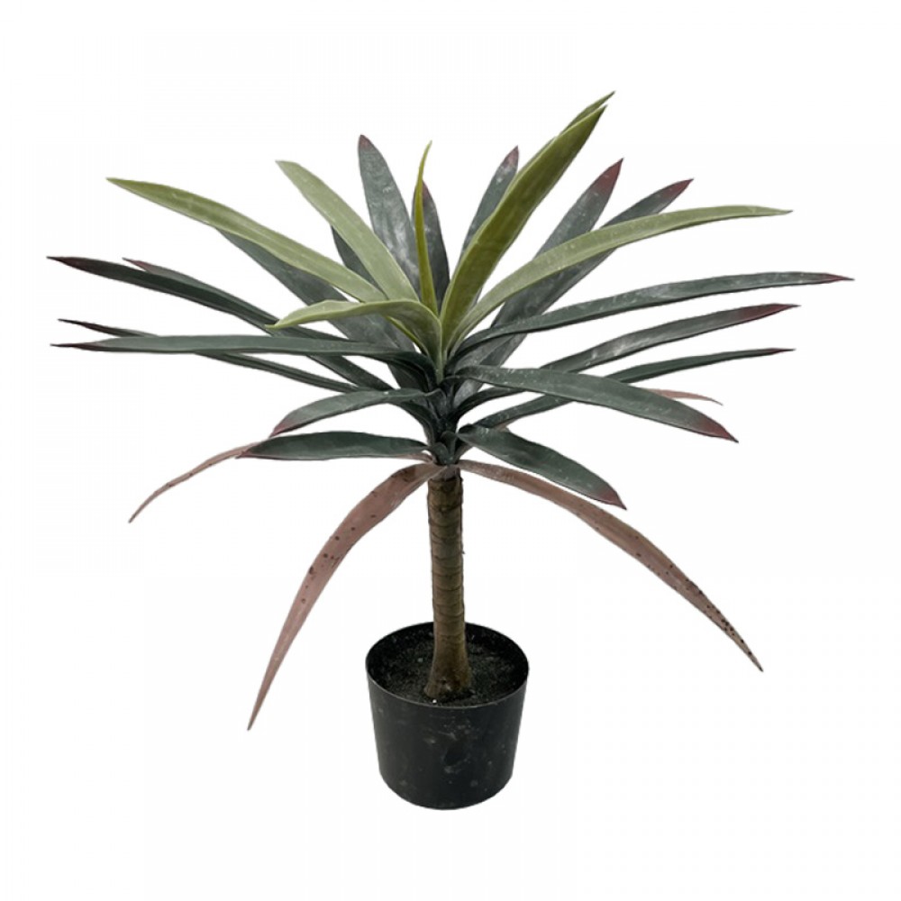 Διακοσμητικό φυτό Dracaena palm σε γλάστρα Inart πράσινο pp Υ62εκ
