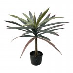 Διακοσμητικό φυτό Dracaena palm σε γλάστρα Inart πράσινο pp Υ62εκ