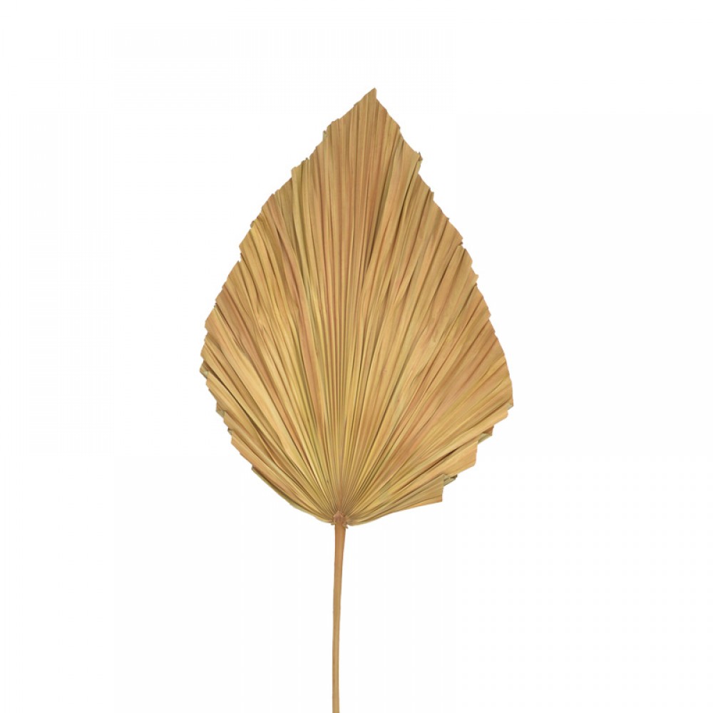 Διακοσμητικό φύλλο Walsy Inart palm leaf σε φυσική απόχρωση Υ135 εκ