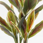 Διακοσμητικό φυτό σε γλάστρα Cycas Inart πράσινο Φ55x80εκ