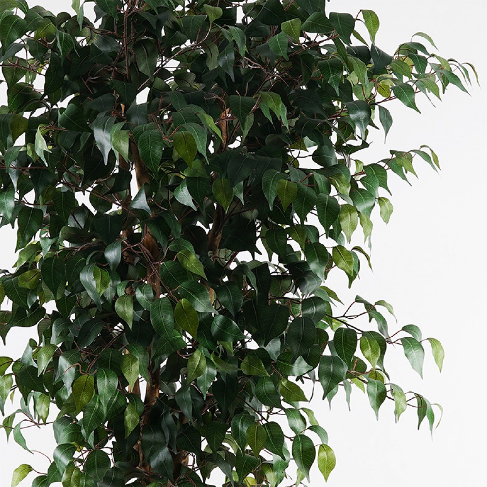 Διακοσμητικό φυτό σε γλάστρα Banyan Inart πράσινο Φ95x180εκ