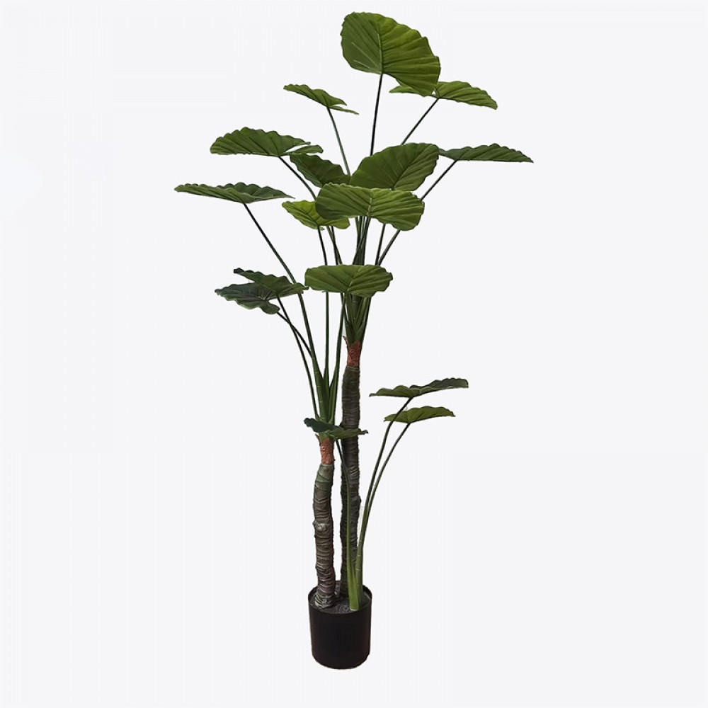 Διακοσμητικό φυτό σε γλάστρα Taro Plant Inart πράσινο Φ90x180εκ