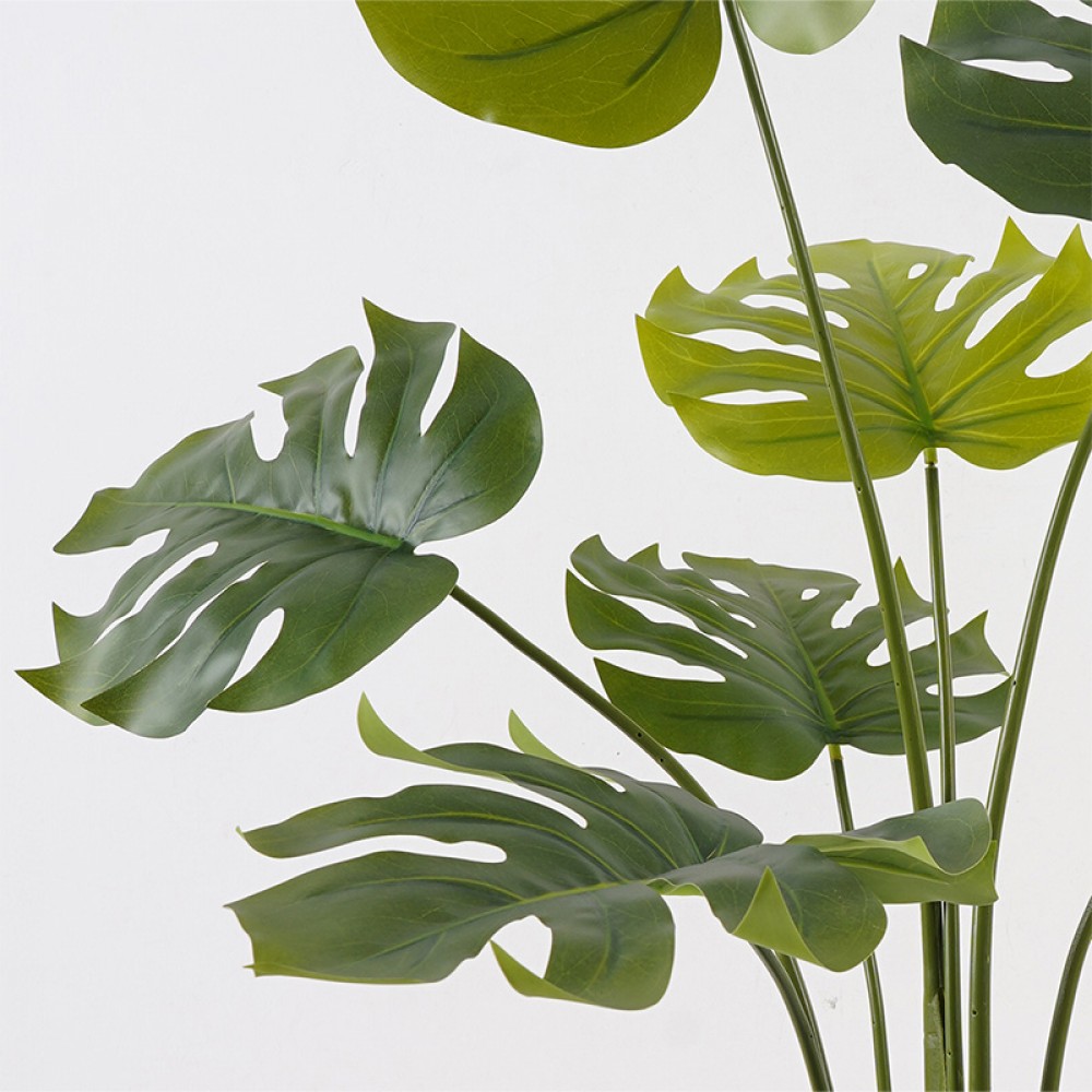 Διακοσμητικό φυτό σε γλάστρα Deliciosa Inart πράσινο Φ94x120εκ