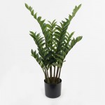 Διακοσμητικό φυτό σε γλάστρα Zamia Inart πράσινο Φ52x88εκ