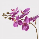 Διακοσμητικό φυτό σε γλάστρα Οrchid Beauty Inart 30x13x46εκ