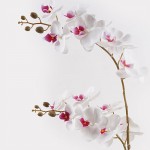 Διακοσμητικό φυτό σε γλάστρα Οrchid White Inart 36x17x65εκ