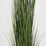 Διακοσμητικό φυτό σε γλάστρα Βoxwood Inart πράσινο Φ46x150εκ