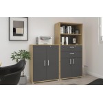 Πόρτες βιβλιοθήκης Svenson