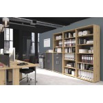 Πόρτες βιβλιοθήκης Svenson