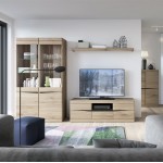 Έπιπλο τηλεόρασης Santiago 1D1S