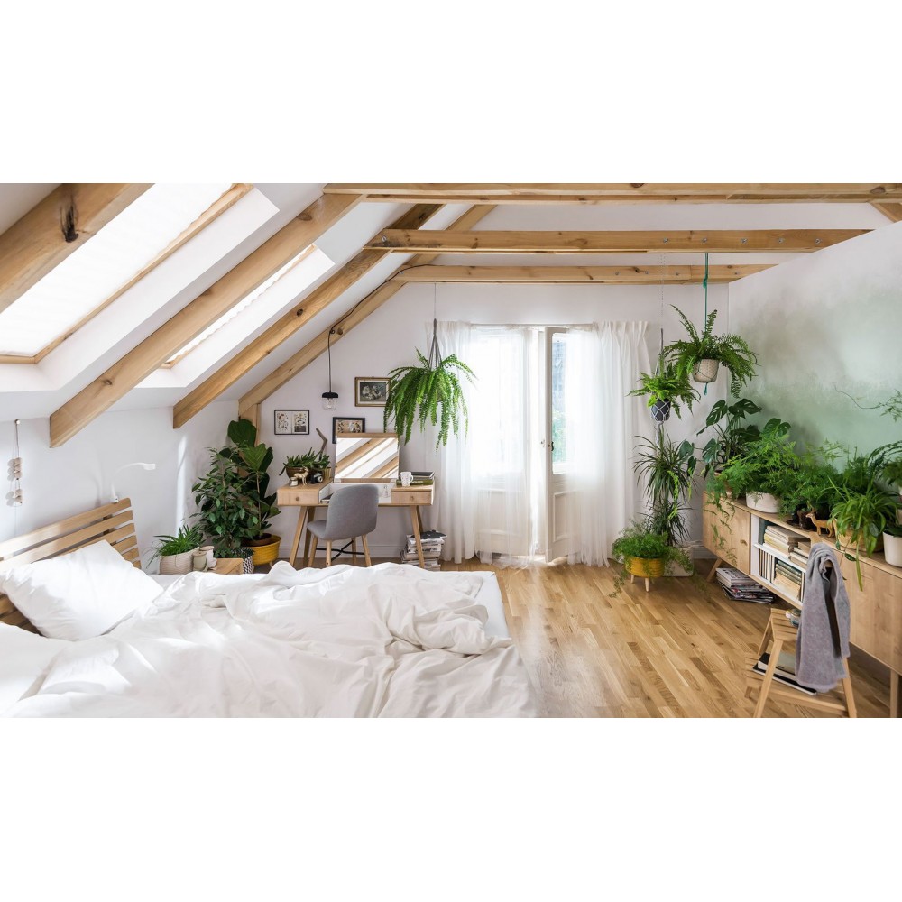 Τουαλέτα Nature-Drus