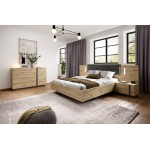 Κρεβάτι Arcan -Leuko Fusiko