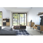 Έπιπλο τηλεόρασης Newton