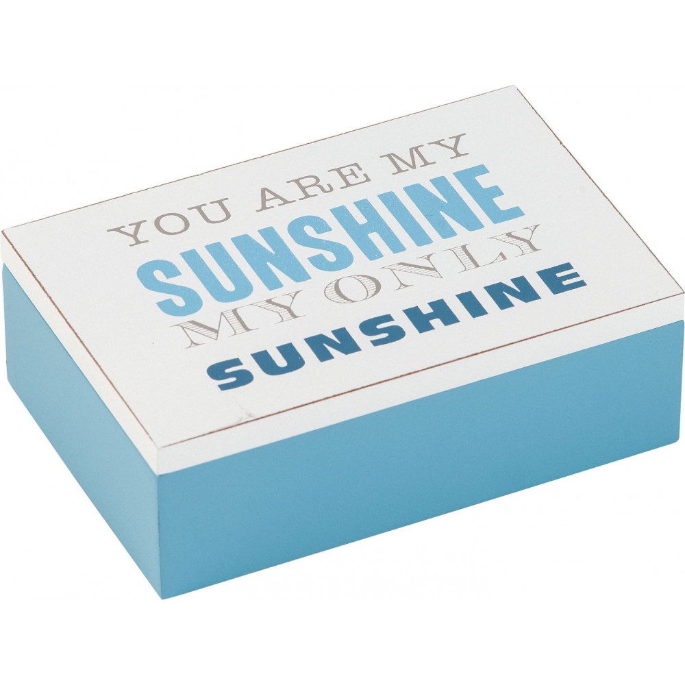 Κουτί αποθήκευσης Scola-Μπλε