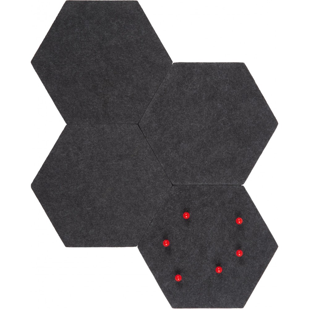 Πίνακας ανακοινώσεων Felis