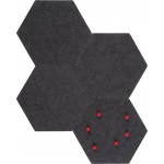 Πίνακας ανακοινώσεων Felis