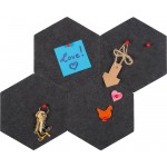 Πίνακας ανακοινώσεων Felis