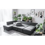 Πίνακας Botaniq I