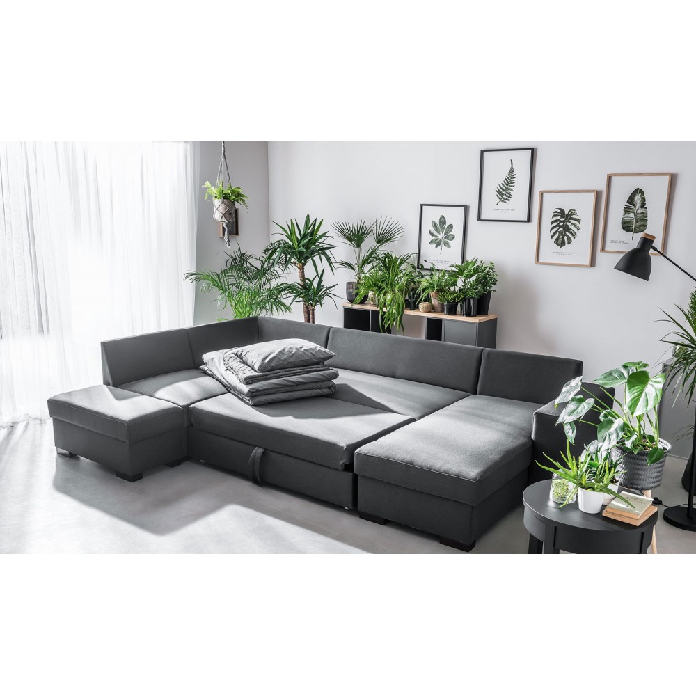 Πίνακας Botaniq IV