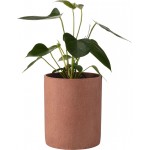 Κασπώ Redo plus