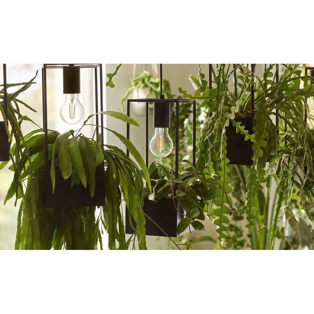 Φωτιστικό οροφής Lank