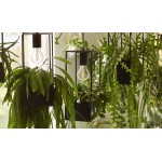 Φωτιστικό οροφής Lank