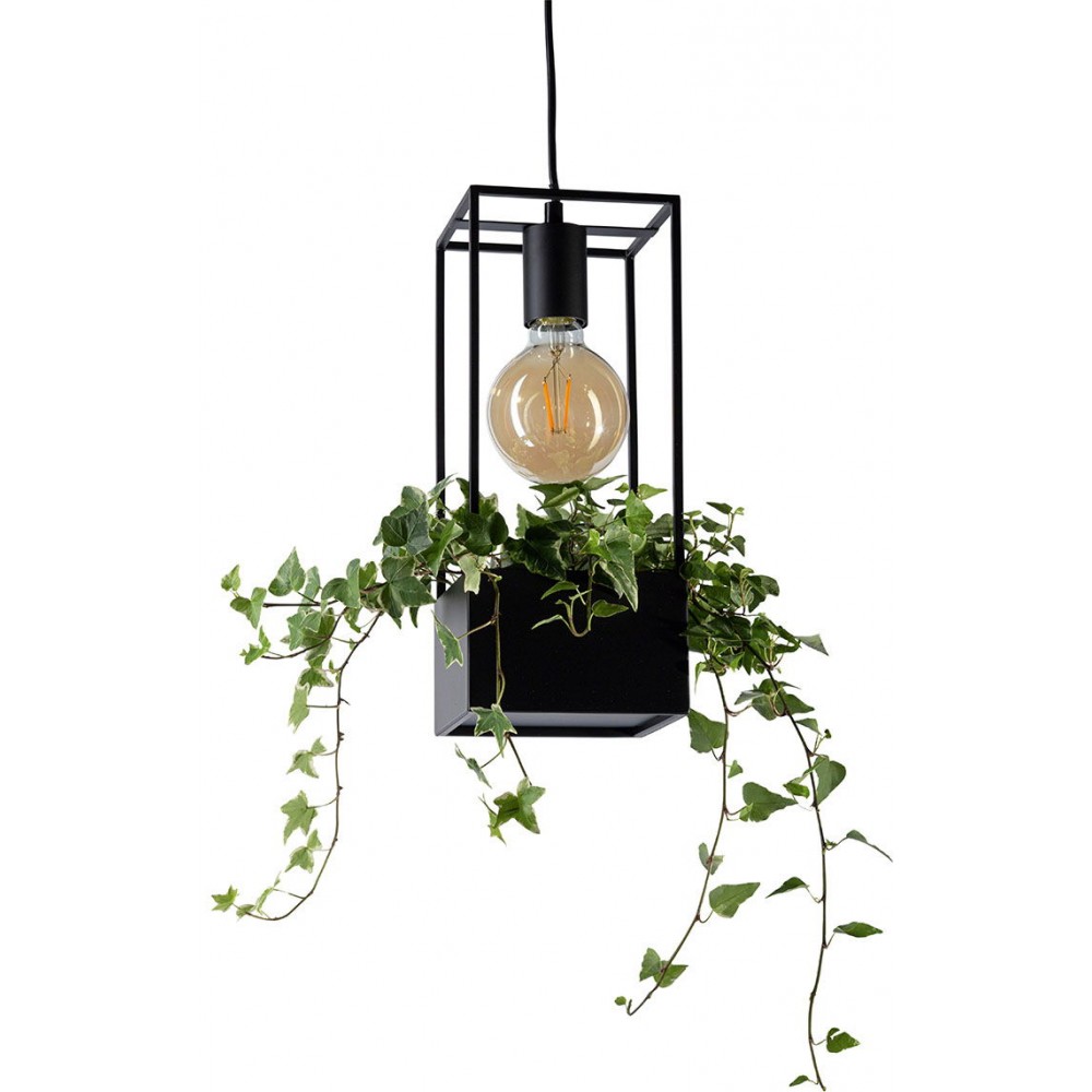 Φωτιστικό οροφής Lank