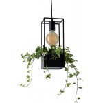 Φωτιστικό οροφής Lank