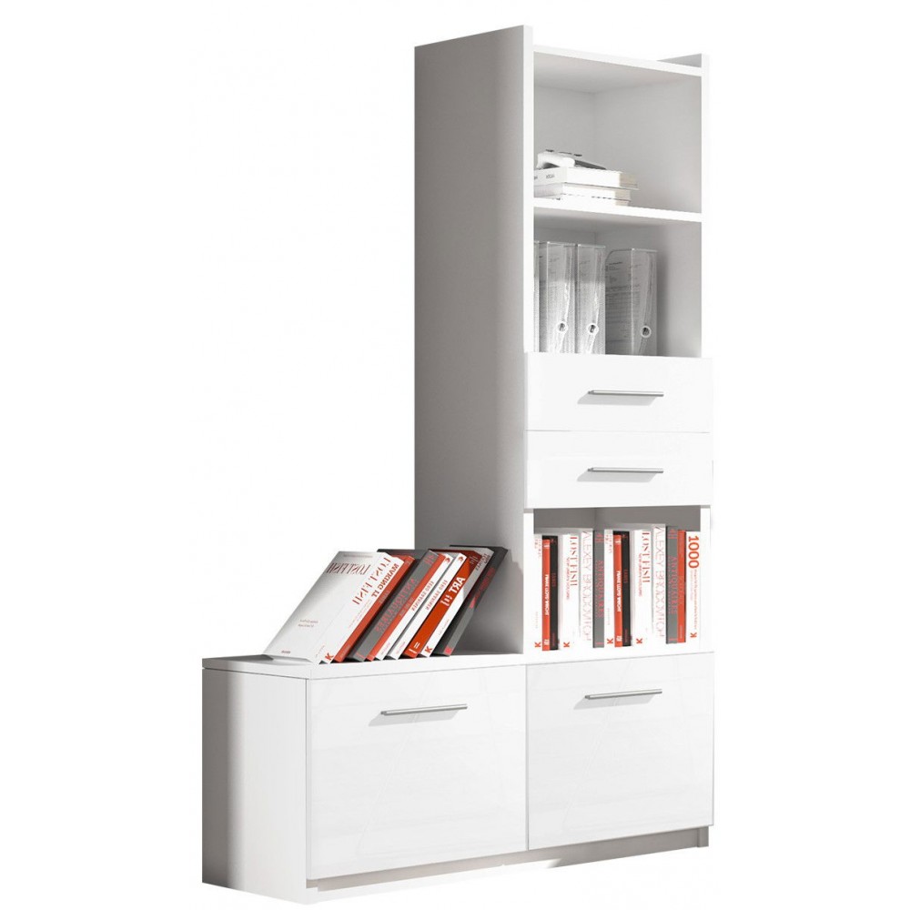 Βιβλιοθήκη Raj 1-Leuko