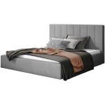 Επενδυμένο κρεβάτι Dobrik-160 x 200-Γκρι-Με μηχανισμό ανύψωσης