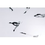 Επιφάνεια εργασίας γραφείου Yoga