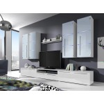 Σύνθετο Bari-Leuko-Leuko gualistero