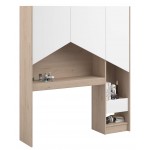 Εταζέρα Shield-Leuko