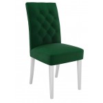 Καρέκλα S85-Prasino
