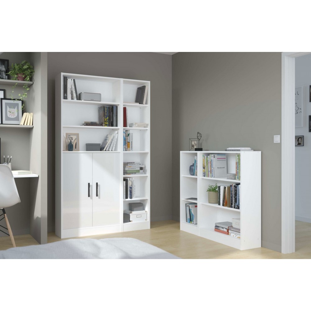 Βιβλιοθήκη Mayer Mini-Leuko