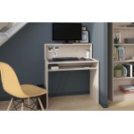 Γραφείο Mayer