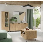 Βιτρίνα Molbo 10-11 65x42x200