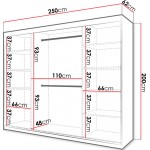 Ντουλάπα συρόμενη 250 Ramiro 2 250x62x200