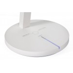 Φωτιστικό γραφείου Karl