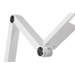 Φωτιστικό γραφείου Karl