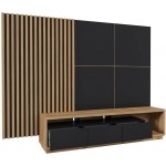 Πάνελ τηλεόρασης Feyd-Mauro