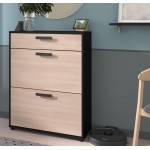 Παπουτσοθήκη Celest II