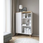 Βιβλιοθήκη Funky-Leuko-Xriso 90x40x131
