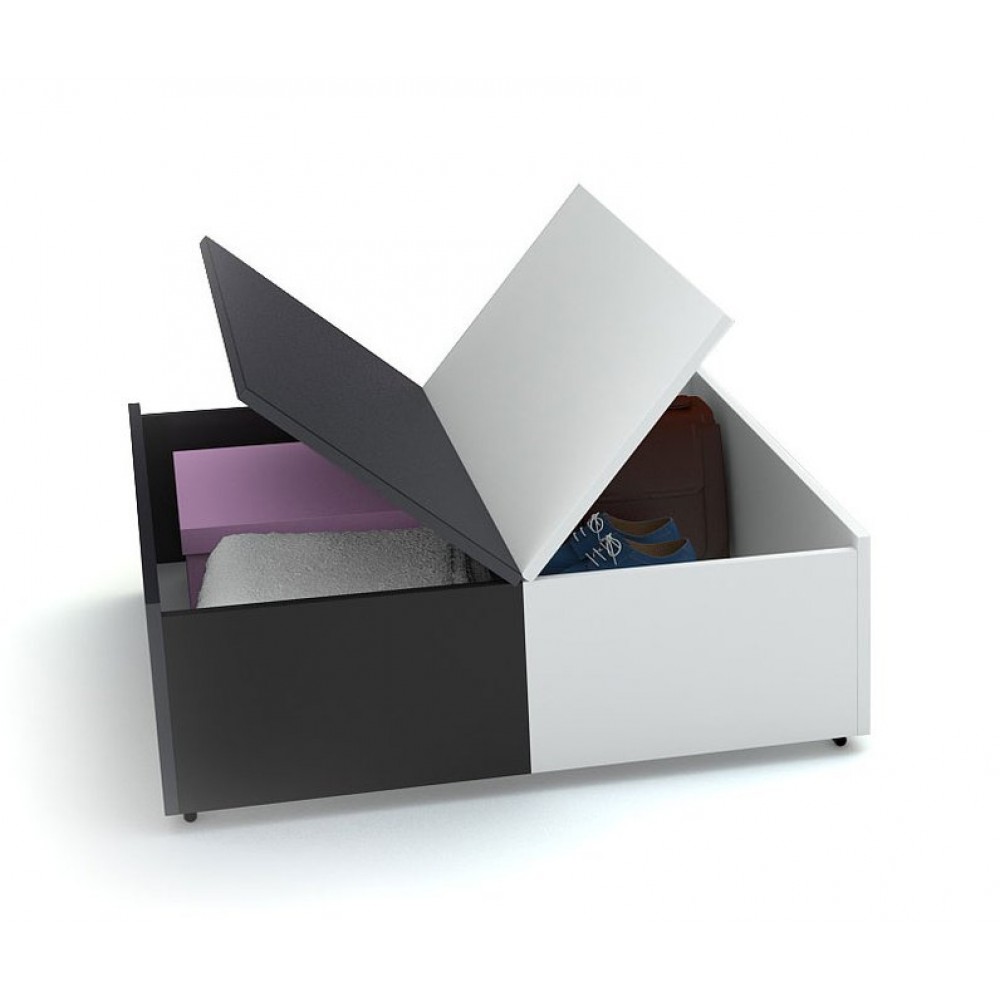 Τραπεζάκι σαλονιού Young