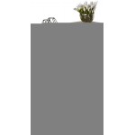 Κονσόλα Peso-Leuko Fusiko 60x20x80