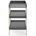 Αλλαξιέρα Tsuga-Leuko