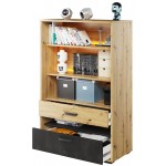 Βιβλιοθήκη γραφείου Qubic 2S