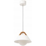 Κρεμαστό φωτιστικό οροφής Tara μονόφωτο