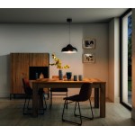 Κρεμαστό φωτιστικό οροφής Sole