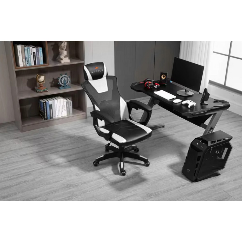 Καρέκλα Gaming Raptor Ace-Leuko